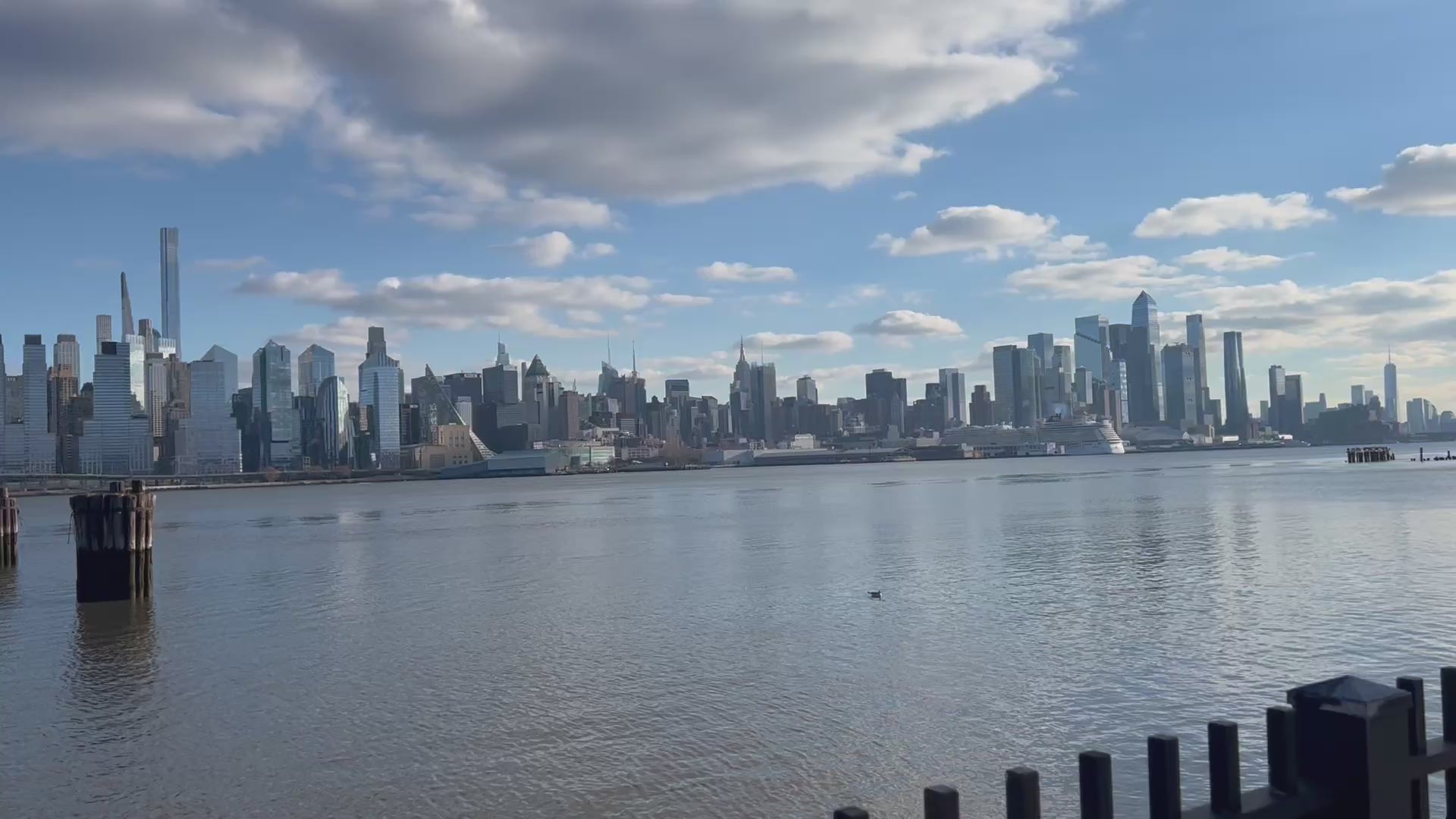 Colorful Loria NYC Art jacket with the city skyline in the background as a video