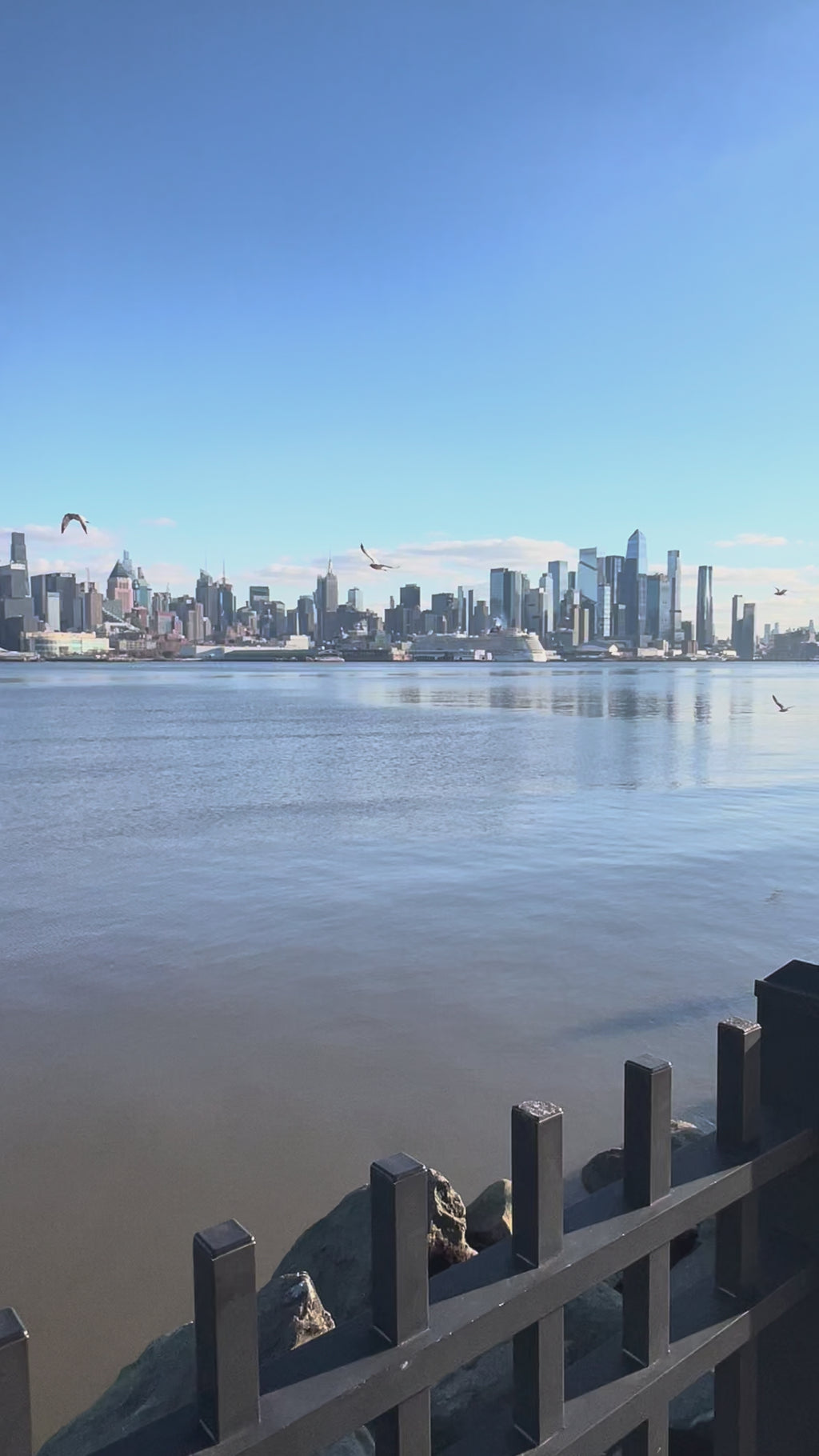 Vertical Video on a clear day of a  jacket covered in Loria NYC Art with skyline background