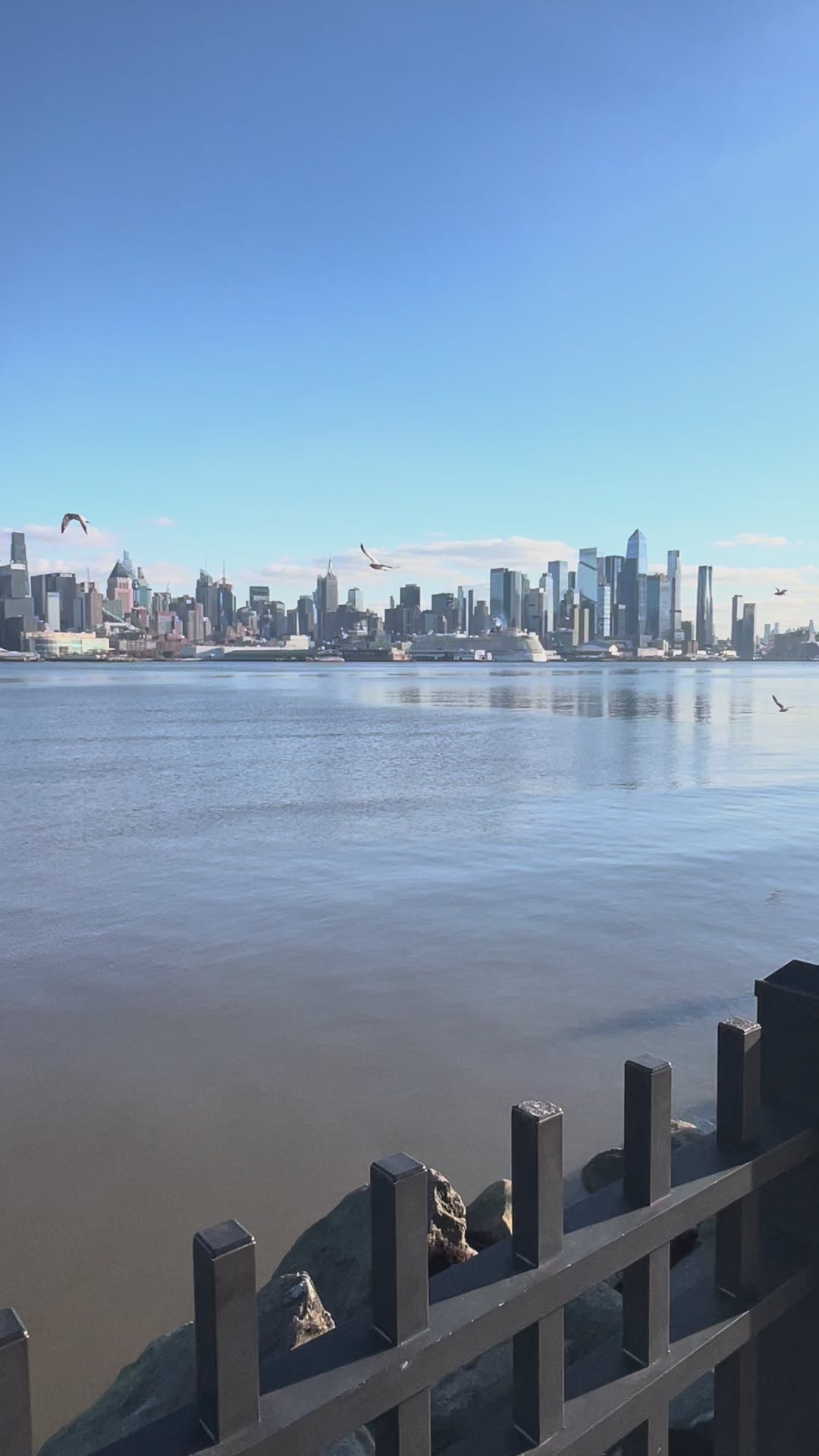 Vertical Video on a clear day of a  jacket covered in Loria NYC Art with skyline background